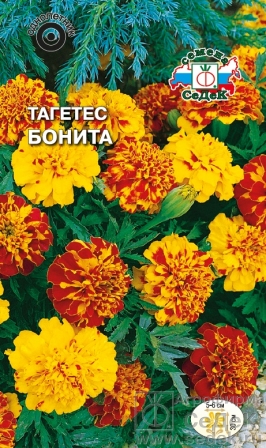 Бархатцы или тагетес Бонита Валенсия, отклоненные цветной пакет 0,25 гр однолетник, высота 30 см Евро-семена