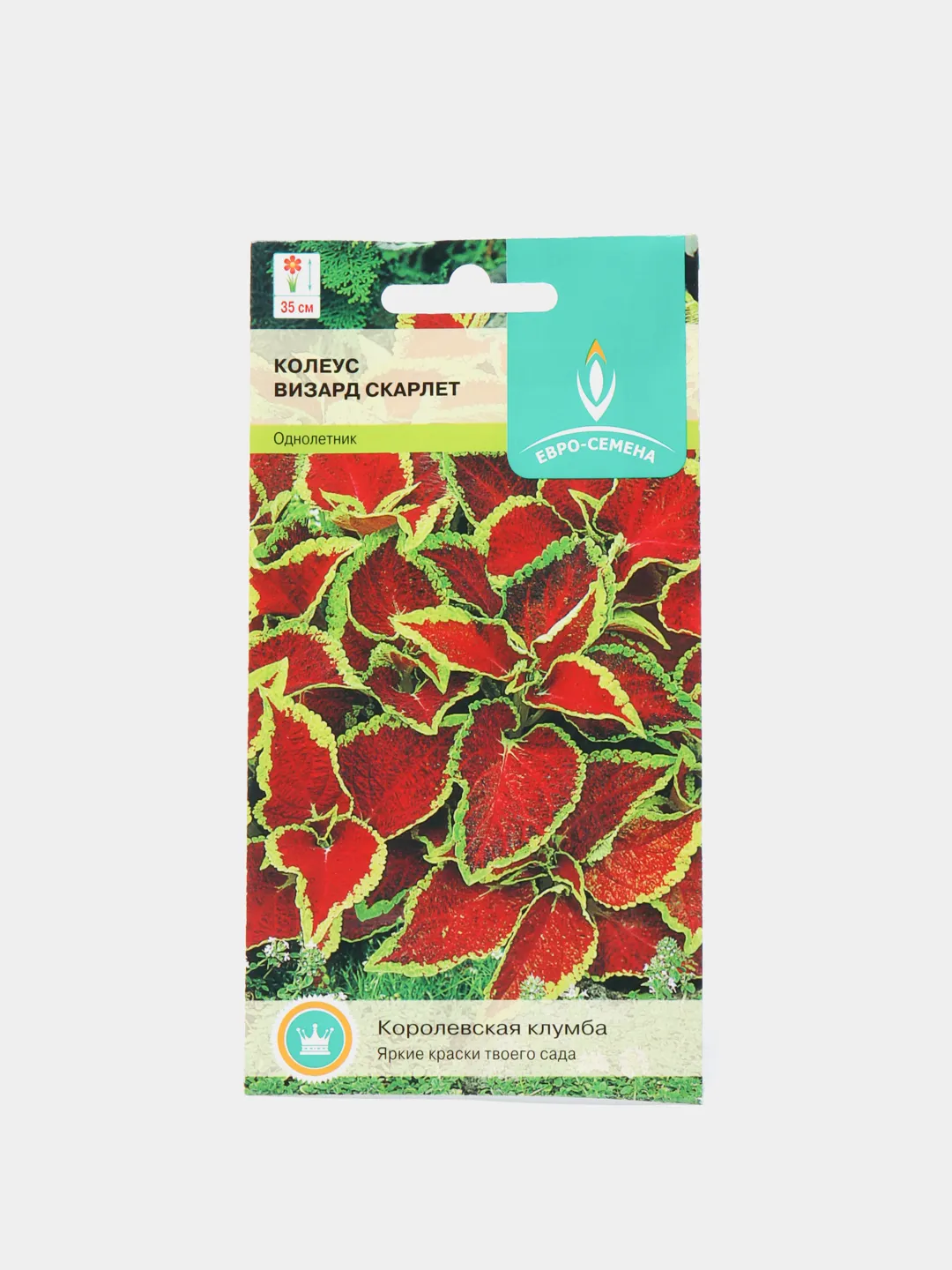 Семена цветов, Колеус Визард Скарлет, 7 шт, ЕВРО-СЕМЕНА