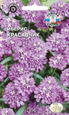 Иберис Красавчик зонтичный, пурпурный Евро, 0,2 гр Седек