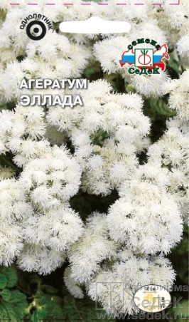 Семена цветов, Агератум Эллада Горшок для цветов Мексиканский, белый Евро, 0,1 гр, Седек