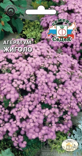 Семена цветов, Агератум Жиголо Горшок для цветов Мексиканский, розовый Евро, 0,1 гр, Седек
