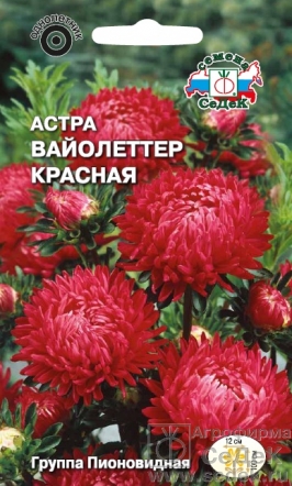 Семена цветов, Астра Вайолеттер красная пионовидная, красная Евро, 0,1 гр, Седек