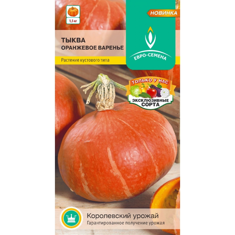 Семена бахчевых, Тыква Оранжевое варенье крупноплодная, 5 шт, ЕВРО-СЕМЕНА