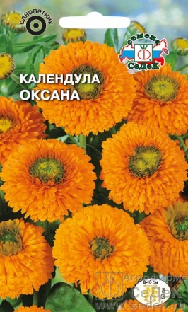 Календула Оксана оранжевая с зеленым центром Евро, 0,3 гр 	 Седек