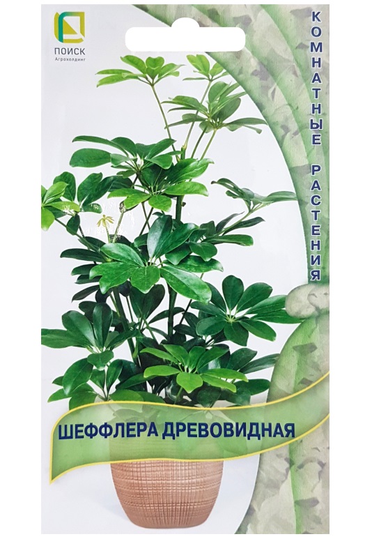 Семена комнатных растений, Шеффлера древовидная, 5шт, ПОИСК