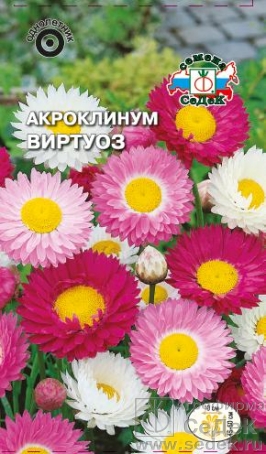 Семена цветов, Акроклинум Виртуоз смесь цветов Евро, 0,1 гр, Седек