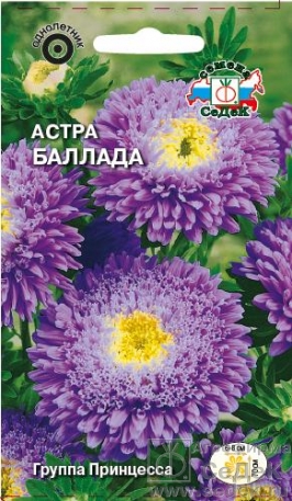 Семена цветов, Астра Баллада принцесса Евро, 0,2 гр, Седек