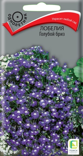 Семена цветов Лобелия Голубой бриз, 0,1гр, ПОИСК