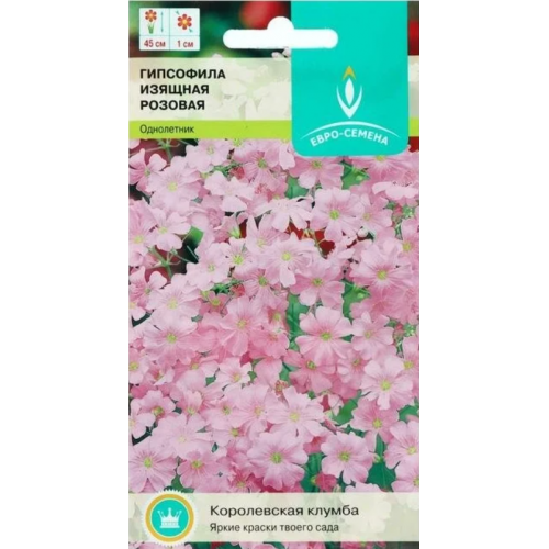 Семена цветов, Гипсофила изящная Розовая, 0,5 гр, ЕВРО-СЕМЕНА