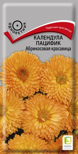 Семена цветов Календула пацифик Абрикосовая красавица, 0,5гр, ПОИСК