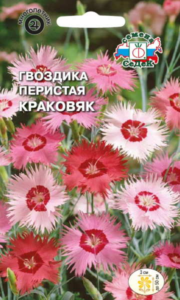 Семена цветов Гвоздика Краковяк (вид перистая, смесь розовых тонов), 0,05гр, СЕДЕК