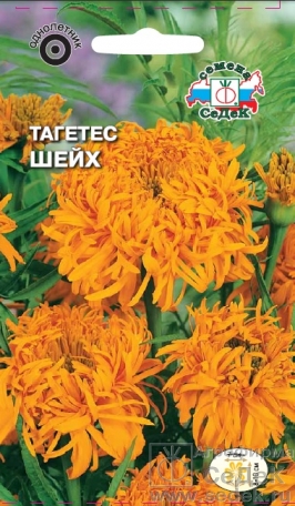 Семена цветов, Бархатцы или тагетес Шейх прямостоячий, хризантемовидный, темно-оранжевый Евро, 0,2 гр, 5 Седек
