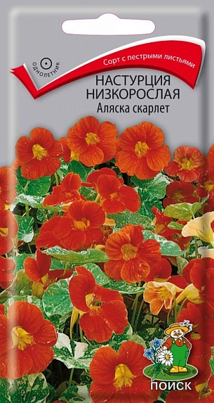 Семена цветов, Настурция низкорослая Аляска Скарлет, 1гр, ПОИСК