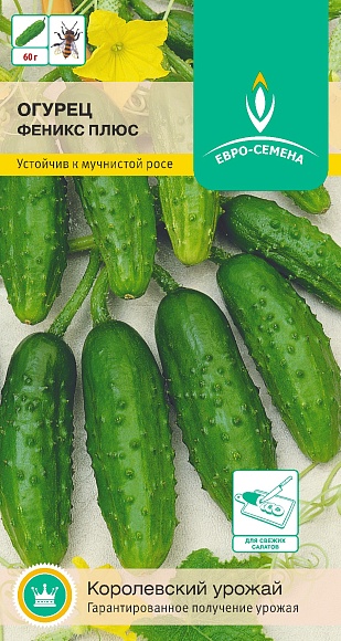 Семена овощей, Огурец пчелоопыляемый Феникс Плюс 0,3 гр, Евро-семена