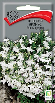 Семена цветов Лобелия эринус Белый дворец, 0,1гр, ПОИСК