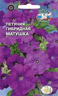 Семена цветов, Петуния Матушка F1 низкорослая, многоцветковая, темно-фиолетовая Евро, 10 Седек