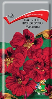 Семена цветов, Настурция низкорослая Махагони, 1гр, ПОИСК