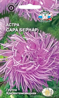 Семена цветов, Астра Сара Бернар хризантемовидная, розовая Евро, 0,2 гр, Седек
