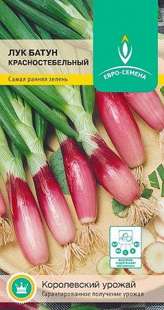 Лук батун Красностебельныйцветной пакет 0,3 гр Евро-семена