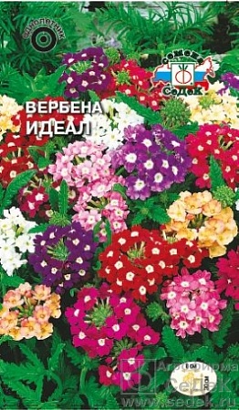 Вербена Идеал смесь цветов Евро, 0,1 гр, Седек