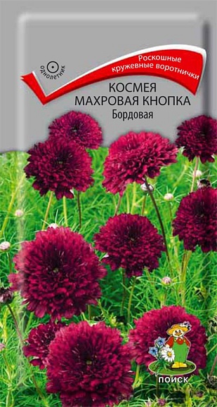 Семена цветов, Космея Махровая кнопка Бордовая, 0,1 гр, Поиск