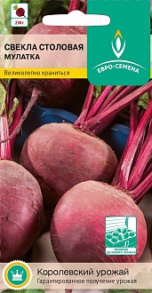 Семена овощей, Свекла Мулатка, 2 гр, Евро-семена