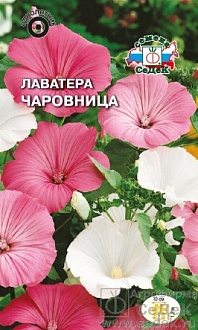 Семена цветов, Лаватера Чаровница смесь цветов Евро, 0,3 гр, Седек