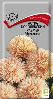 Семена цветов, Астра Королевский размер Абрикосовая (однолетняя), 0,1гр, ПОИСК