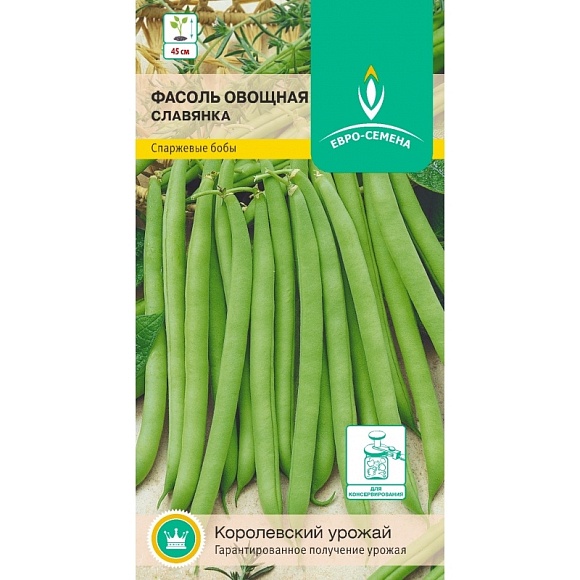 Семена овощей, Фасоль Славянка овощная, 5 гр, ЕВРО-СЕМЕНА