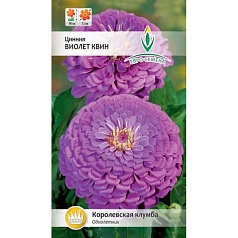 Семена цветов, Цинния Виолет Квин однолетник, 0,3 гр, Евро-семена