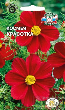 Космея Красотка бипиннатус, ярко-красная Евро, 0,5 гр Седек