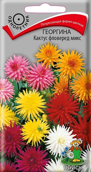 Семена цветов, Георгина Кактус фловеред микс, 0,2 гр, Поиск