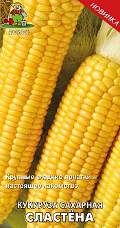 Семена овощей, Кукуруза Сластёна сахарная А, 5 гр, Поиск