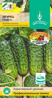 Семена овощей, Огурец Граф F1, раннеспелый, партенокарпический, крупнобугорчатый, 0,25 гр, Евро-семена