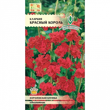 Кларкия красный Король цветной пакет 0,5 гр однолетник Евро-семена