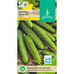 Семена овощей, Огурец Пальчик,12 шт, ЕВРО-СЕМЕНА