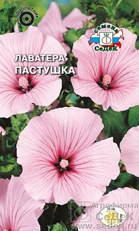 Семена цветов, Лаватера Пастушка нежно-розовая, 0,5 гр, Седек