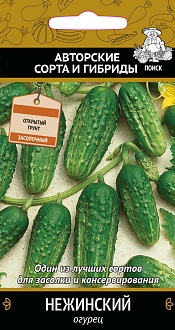 Семена овощей, Огурец Нежинский А, 1, 5 шт, Поиск