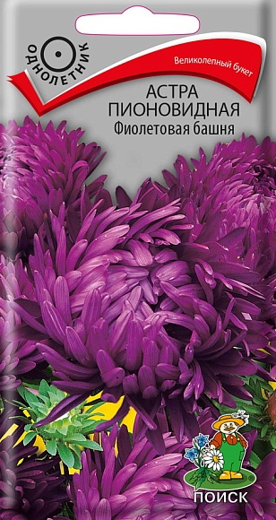 Семена цветов, Астра Пионовидная Фиолетовая башня однолетняя, 0,3гр, ПОИСК