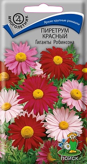 Семена цветов, Пиретрум красный Гиганты Робинсона, 0,2гр, ПОИСК