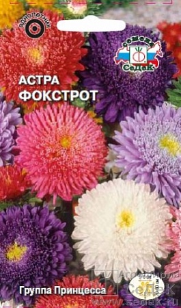 Астра Фокстрот принцесса, смесь цветов Евро, 0,2 гр, Седек