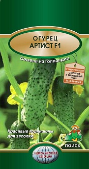 Семена овощей, Огурец Артист F1 партенокарпический, 10 шт, Поиск
