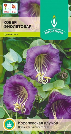 Кобея фиолетовая цветной пакет 0,3 гр однолетник Евро-семена