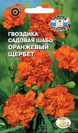 Гвоздика Оранжевый Щербет вид Шабо, оранжевая Евро, 0,1 гр Седек