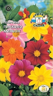 Георгина Пикколо миньон карликовая смесь цветов Евро, 0,2 гр, Седек