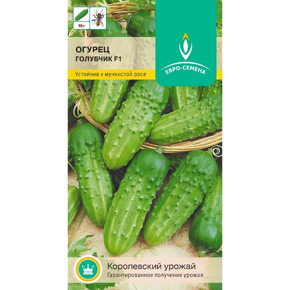 Семена овощей, Огурец пчелоопыляемый Голубчик F1, 12 шт, ЕВРО-СЕМЕНА