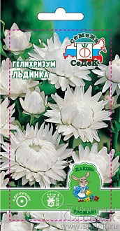 Семена цветов, Гелихризум Льдинка прицветниковый, белый Евро, 0,2 гр, Седек
