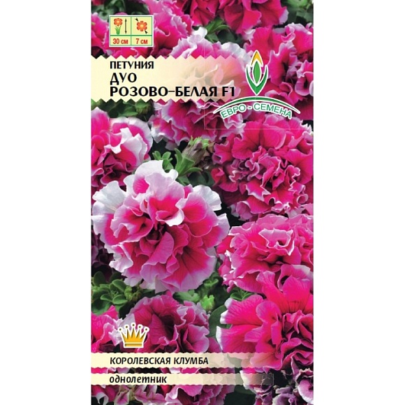 Семена цветов, Петуния Дуо розово-белая F1 многоцветковая однолетник, 10 шт, Евро-семена