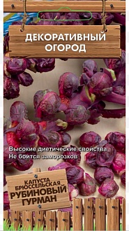 Семена овощей, Капуста брюссельская Рубиновый гурман Декоративный огород, 0,1 г, ПОИСК