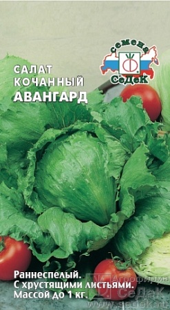 Салат кочанный Авангард айсберг Евро, 0,5 гр Седек